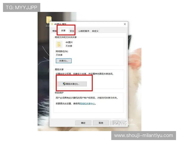 米兰官网网页版轻松访问，一站式获取最新赛事信息与俱乐部动态